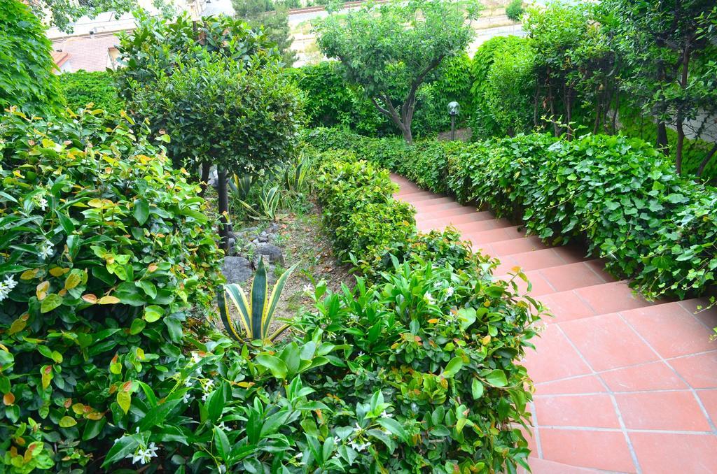 Montesilvano Marina The Incantation Guest House المظهر الخارجي الصورة